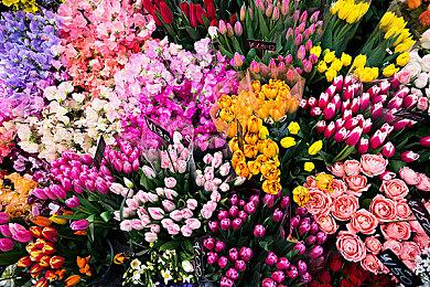 任天堂社长称Switch不会涨价：害怕吓跑消费者