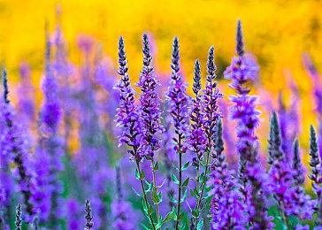 免费多人FPS《The Finals》8分钟内测对局演示